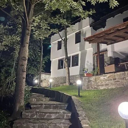 Forest Hill Villa