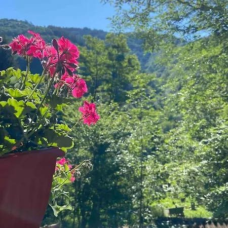 ヴィラ Forest Hill *