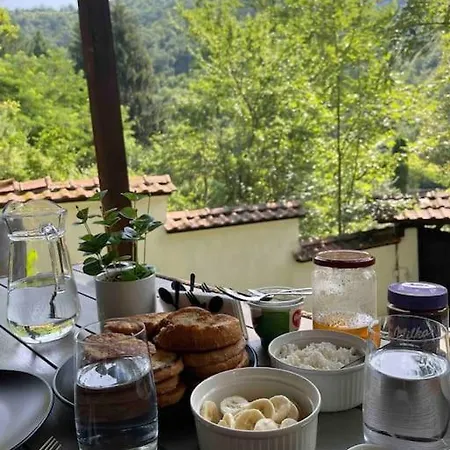 Forest Hill * Troyan (Lovech)