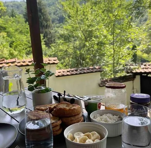 Forest Hill * Troyan (Lovech)